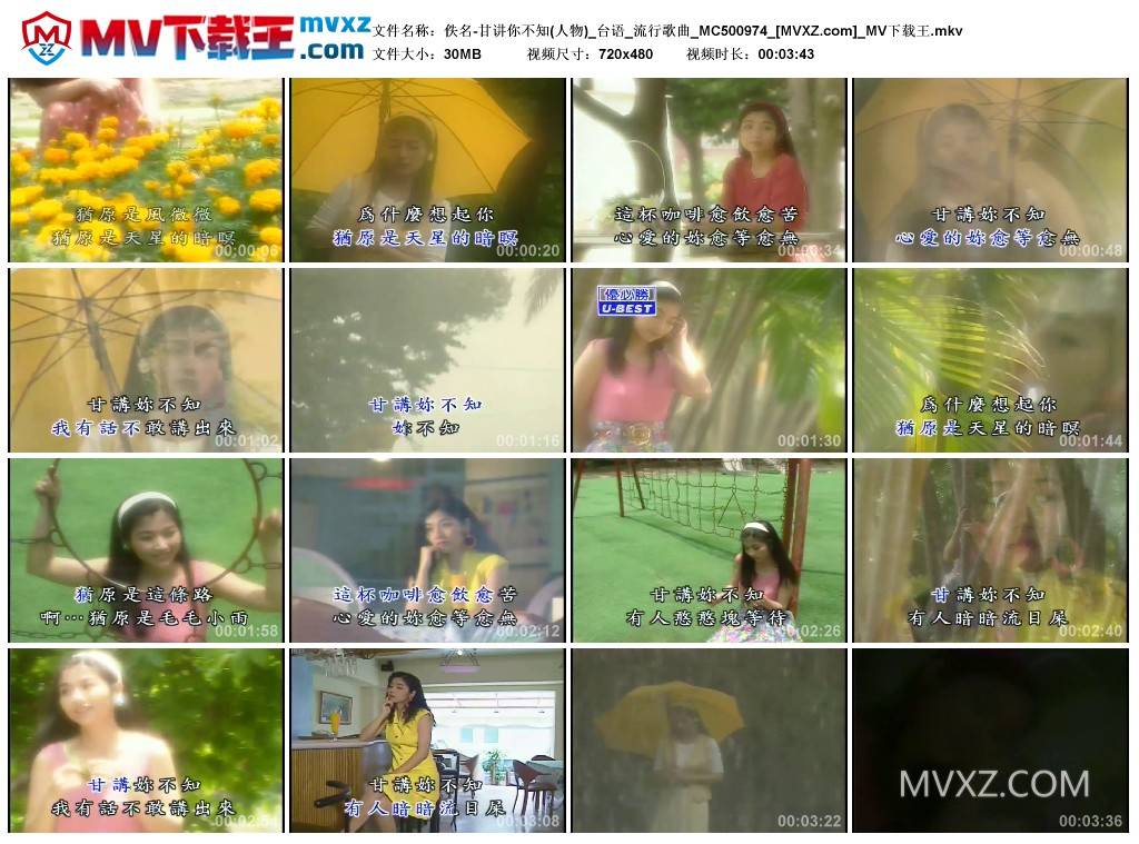 佚名-甘讲你不知(人物)_台语_流行歌曲_MC500974